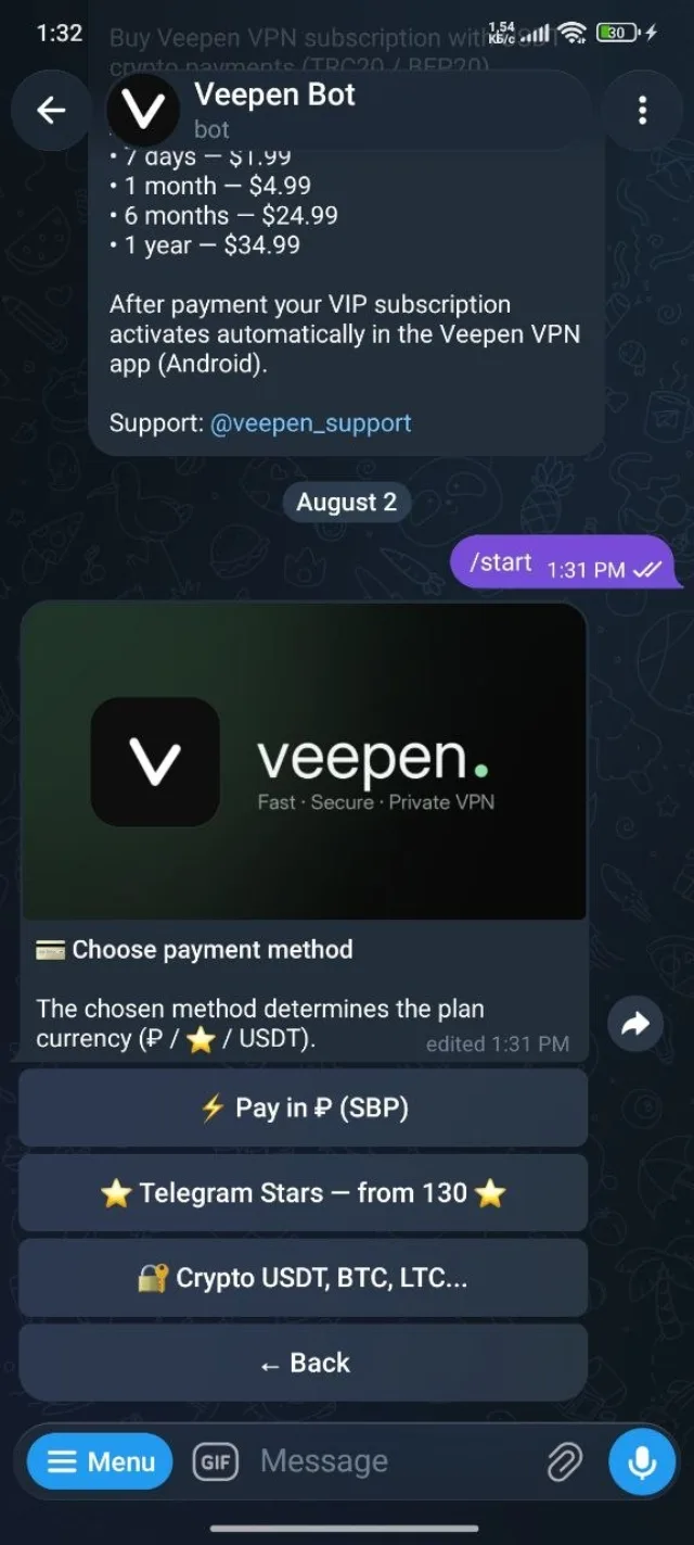 Choose payment method: SBP, Telegram Stars, or crypto